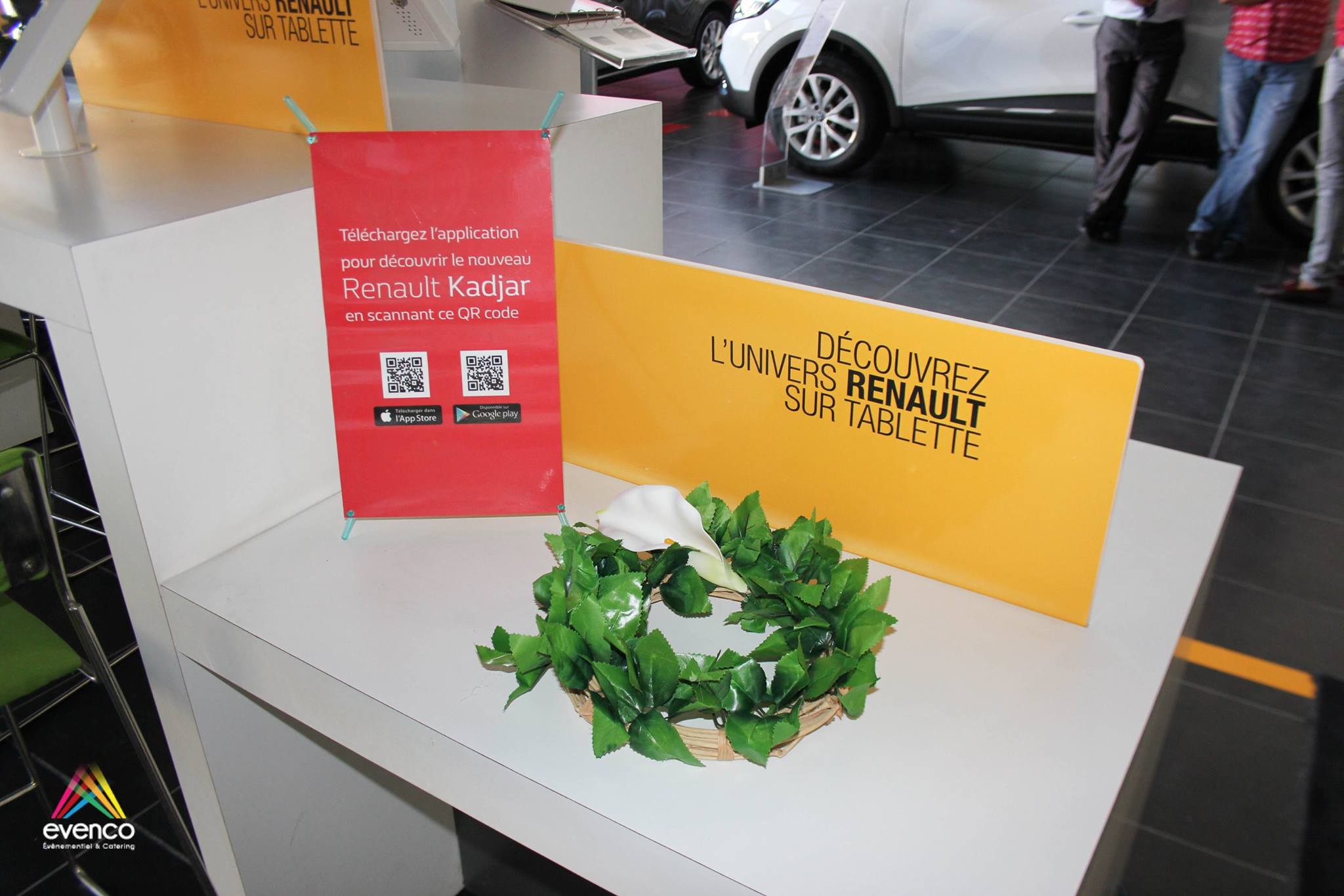 Venicea